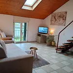 Dragonfly Apartment Quartino