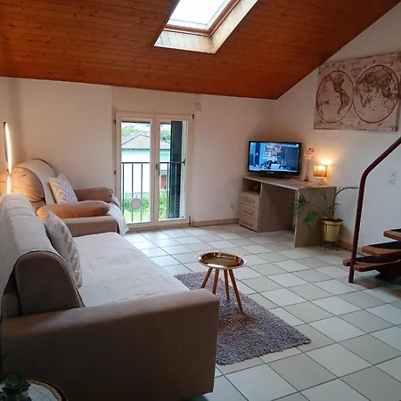 Dragonfly * Quartino