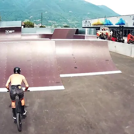 Dragonfly * Quartino