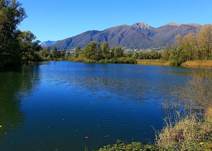 Διαμέρισμα Dragonfly Quartino