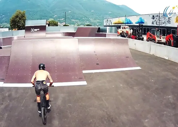 Dragonfly * Quartino