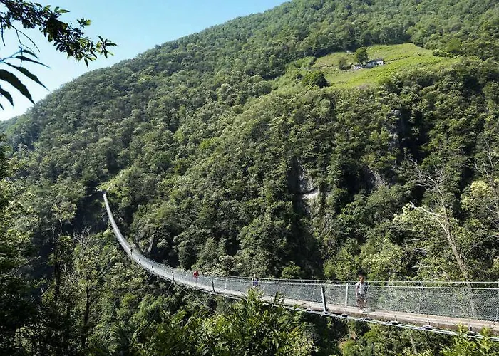 Dragonfly 公寓 Quartino