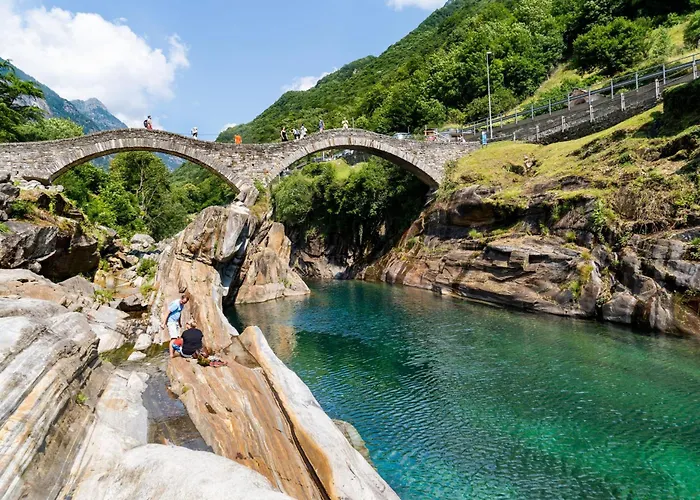 Dragonfly * Quartino