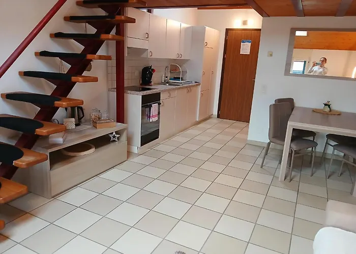 Dragonfly * Quartino