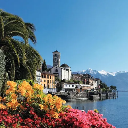 Dragonfly * Quartino