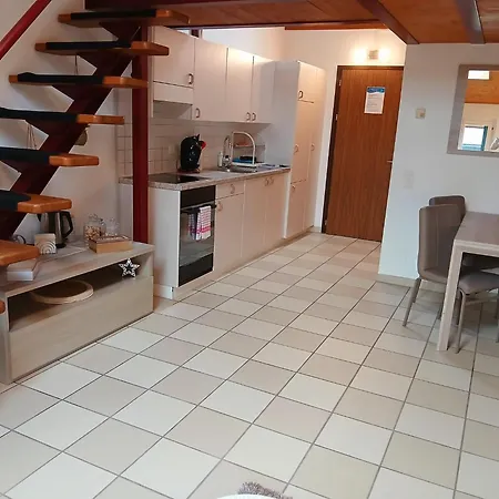 Dragonfly * Quartino