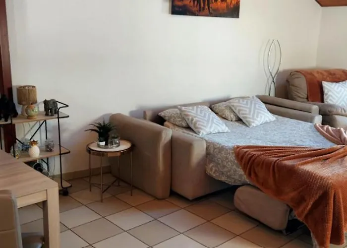 Dragonfly * 콰르티노