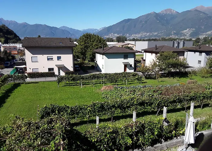 아파트 Dragonfly *