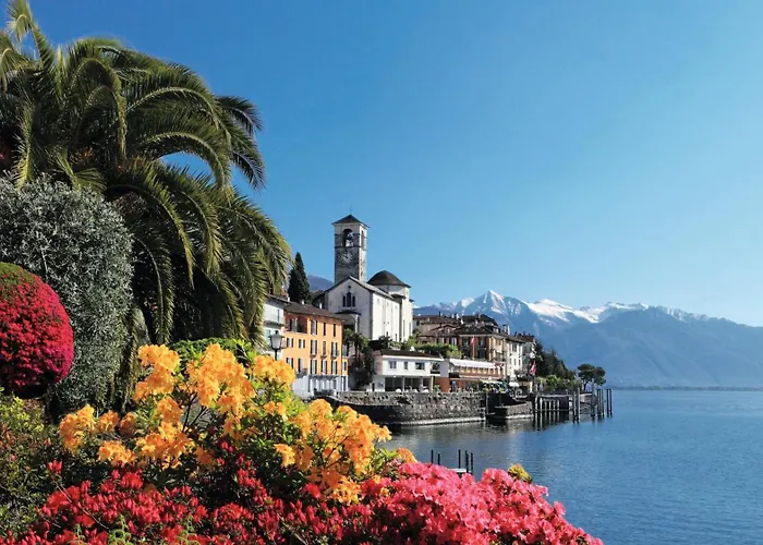 Dragonfly * 콰르티노